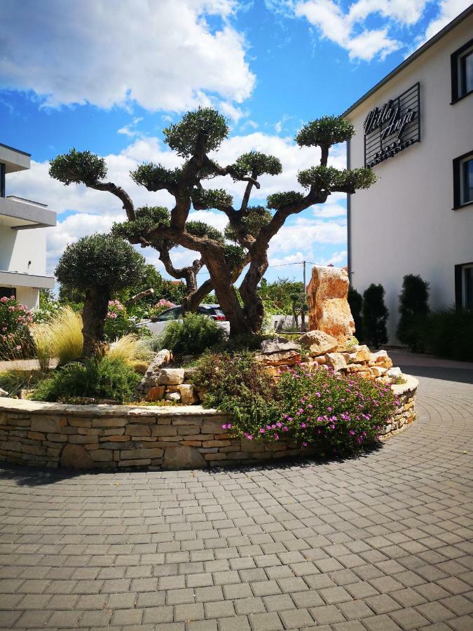 פרוי Villa Anja מראה חיצוני תמונה