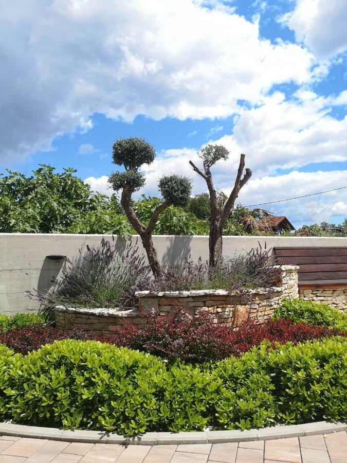 פרוי Villa Anja מראה חיצוני תמונה